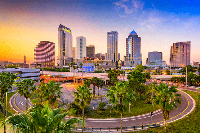 The Tampa Real Estate Market is Red Hot